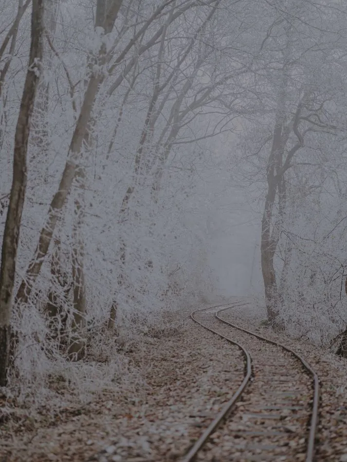 Inverno: Os cuidados com a saúde nessa estação